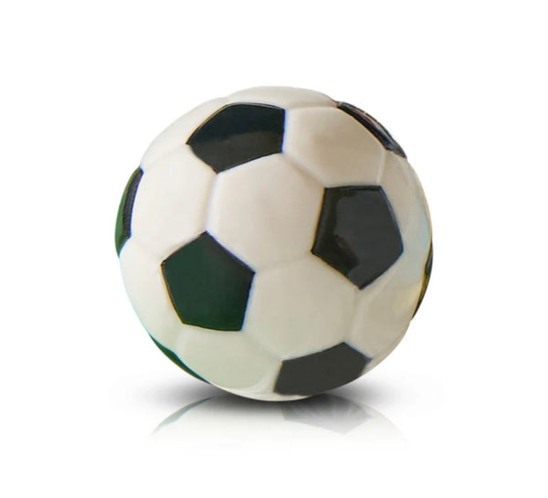 NF Minis-Sports