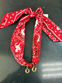 Spell It Out GameDay Scarf