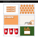 Taylor Gray 11x17 Acrylic Tray Interchangeable Inserts