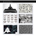 Taylor Gray 11x17 Acrylic Tray Interchangeable Inserts
